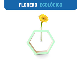 Florero---Ecologico-Titular10