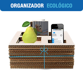 Organizador ecológico para escritorio