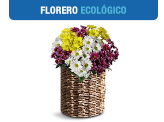 Florero Ecológico