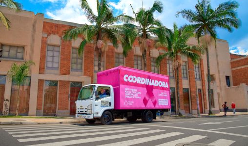 Copia de CAMIÓN ROSADO