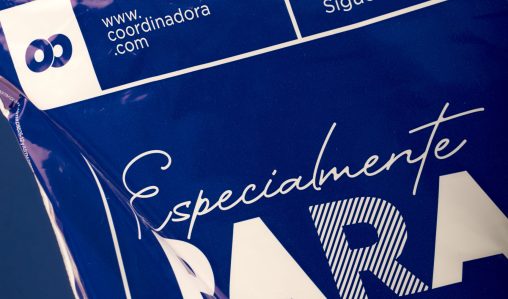 Copia de fotos bolsas nuevas colors1121